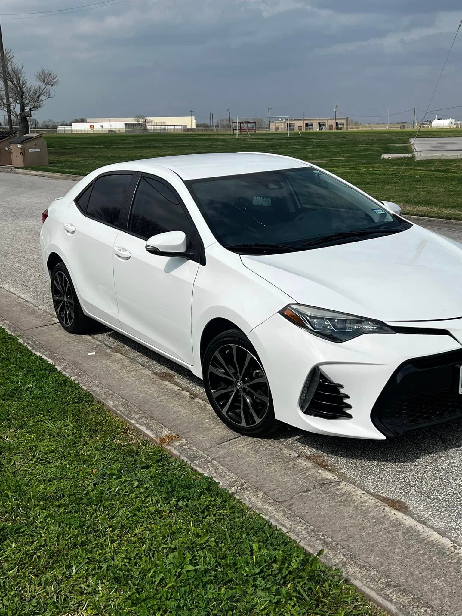 Pearl-white Toyota Corolla beading water after an exterior detail